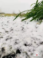 城口又下雪啦  仙气飘飘！ - 重庆晨网