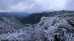 重庆石柱千野草场美如画 大风堡彩林扮“彩妆” - 重庆晨网