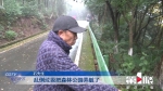 前往照母山公园的山道成了垃圾场 市民盼望早治理 - 重庆晨网