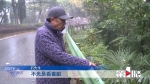 前往照母山公园的山道成了垃圾场 市民盼望早治理 - 重庆晨网